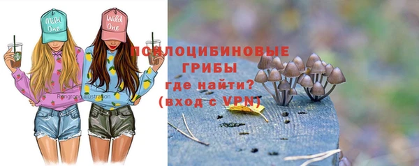 не бодяженный Новозыбков