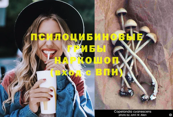 прущие крисы Осинники