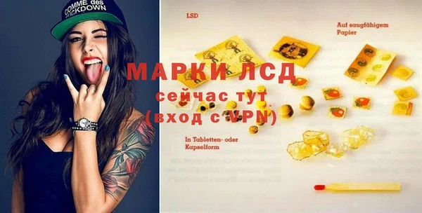 амф Верхний Тагил