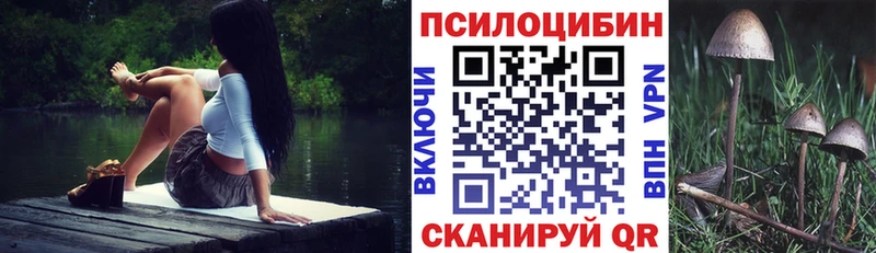 Псилоцибиновые грибы мицелий  как найти   Лангепас 
